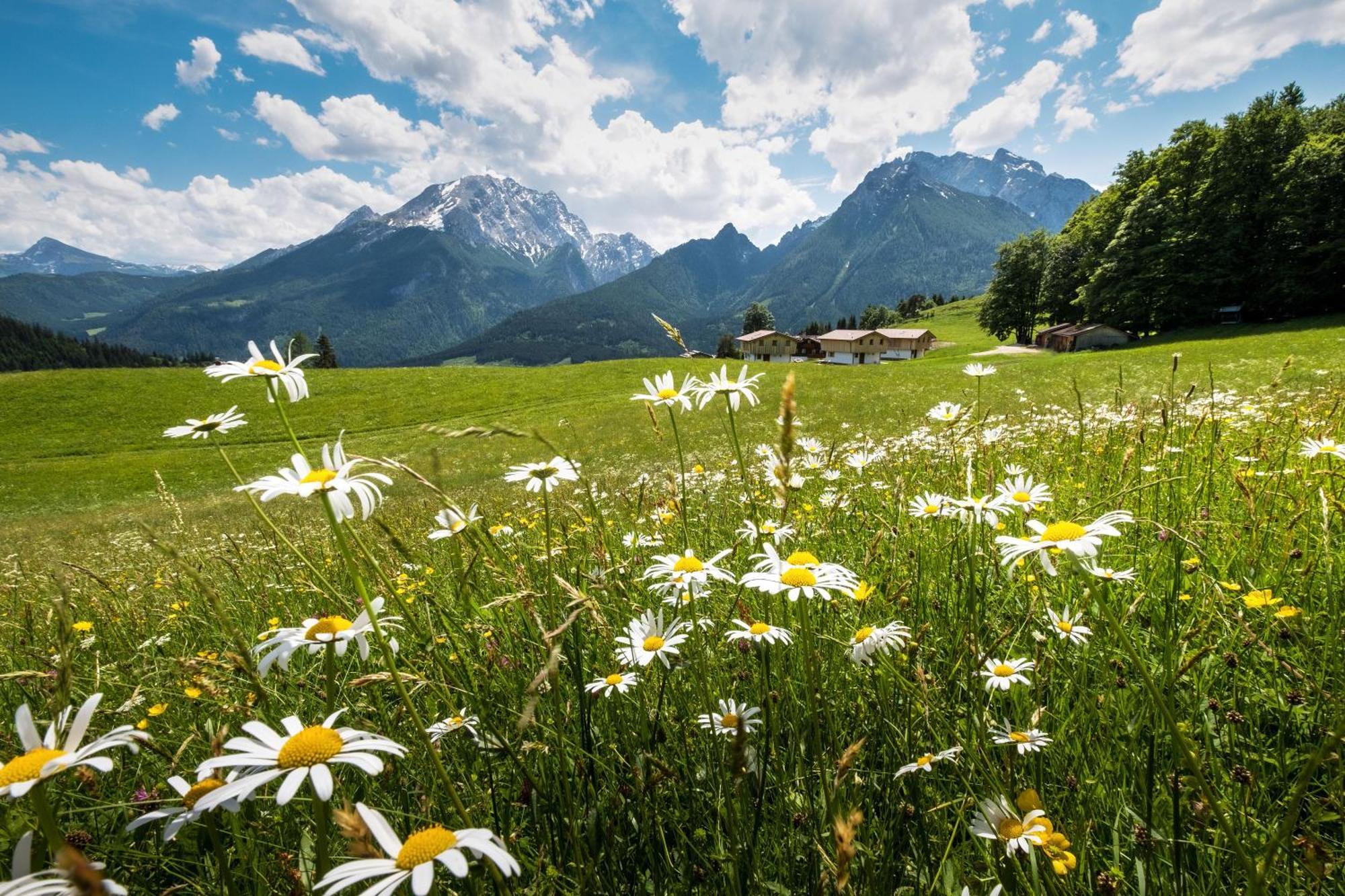 Alpenpension Ettlerlehen Ramsau bei Berchtesgaden Buitenkant foto